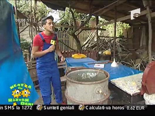 Materian Duta si tuica