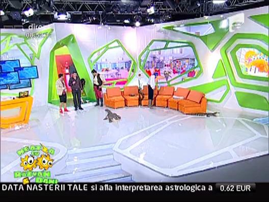 Circul acvatic &ndash; Acquatico Bellucci