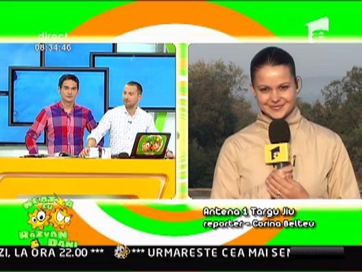 Clip pentru Corina