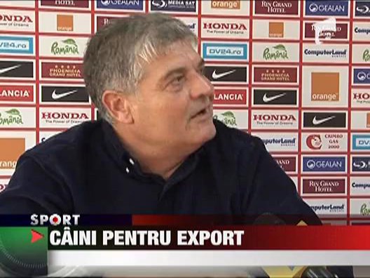 Caini pentru export
