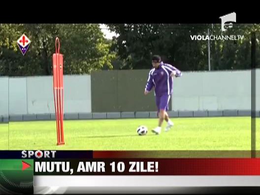 Mutu, amr 10 zile