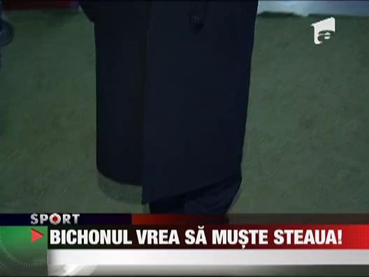 Bichonul s-a facut mare si vrea sa muste din Steaua