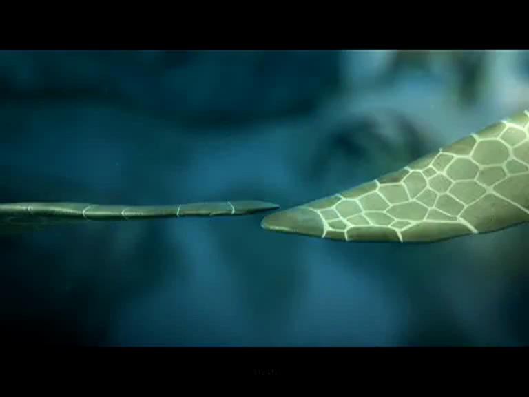 Sammy's Adventures: The Secret Passage