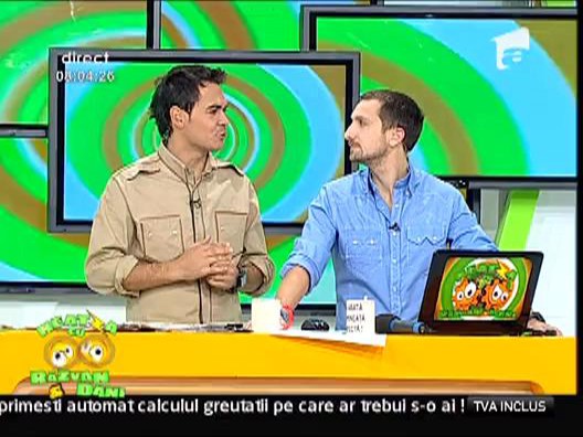 Razvan si Dani rad de Adina Barbu
