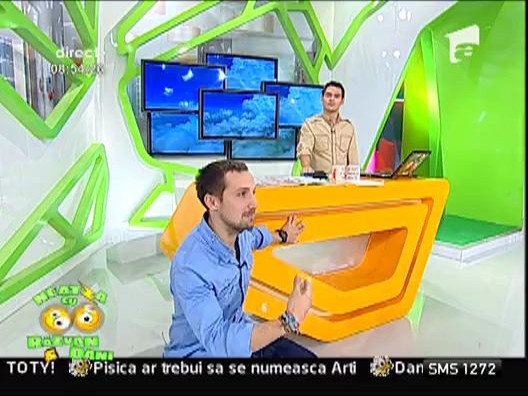 Camasa lui Dani