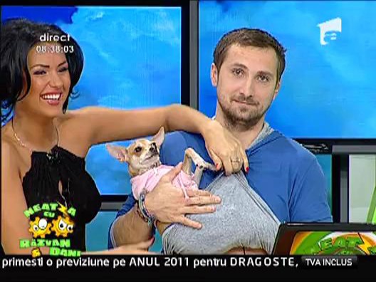 Dani dadaca
