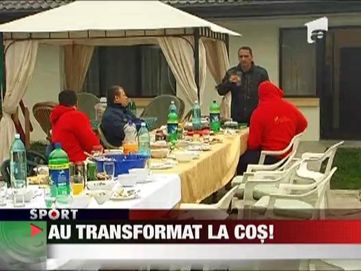 Stejarii au transformat la cos