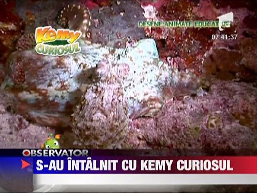 Copiii s-au intalnit cu Kemy curiosul