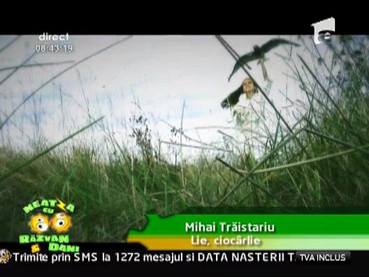 Videoclip! Mihai Traistariu - Lie ciocarlie