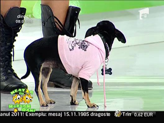 Daniela si Chihuahua la Neatza