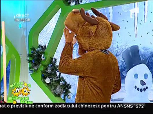 Puberu, renul emisiuni Neatza