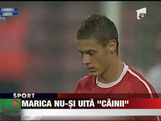 Marica nu-si uita "cainii"