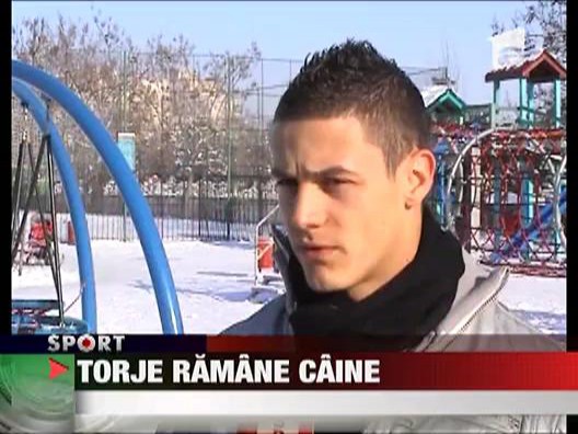 Torje ramane caine