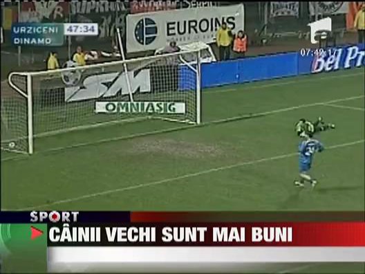 Cainii vechi sunt mai buni