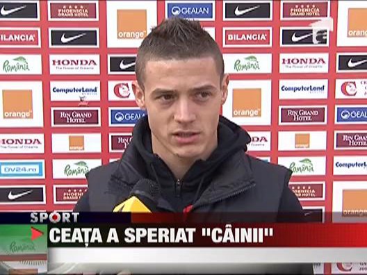 Ceata a speriat "cainii"