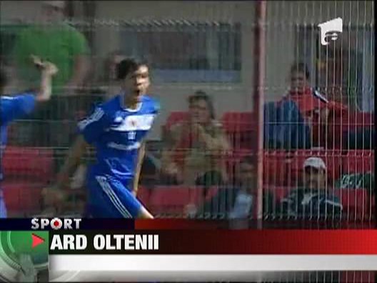 Ard oltenii