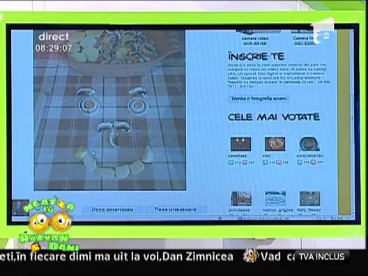 Vanatorii de smiley-uri