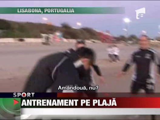 Oltenii i-au pus gand rau Stelei