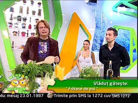 Frikase de pui