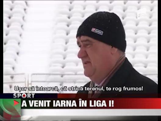 Puscariasii curata gazonul Timisoarei
