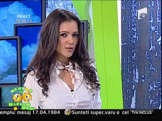 Cainii fara stapani