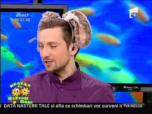 Roxana, mustrata de Dani