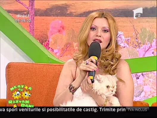 Lumi umbla cu pisoiul vopsit
