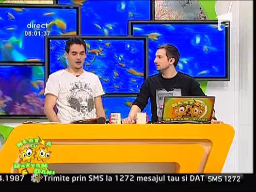 Comportamentul in zilele de vineri