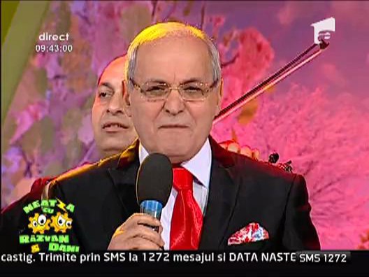 Nelu Ploiesteanu - Foaie verde margarit