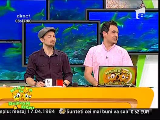 Dani si ciresul amar