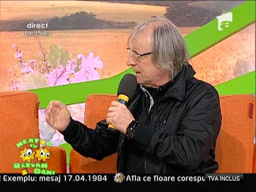 Mihai Constantinescu, despre cainii vagabonzi