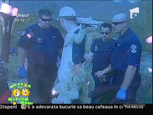 Poza zilei