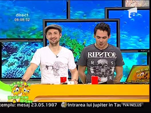 Culmea fidelitatii