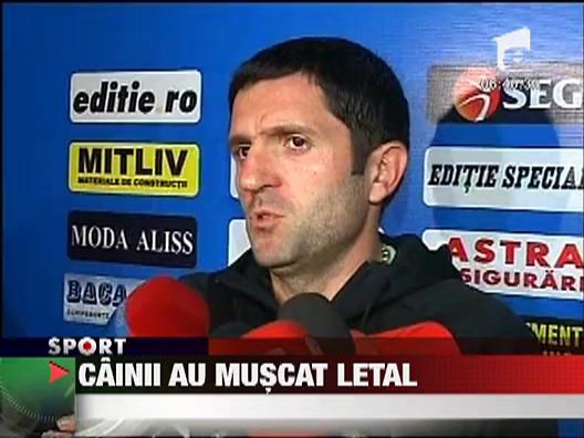 Cainii au muscat letal din Craiova