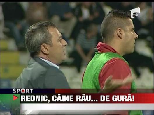 Se incaiera cainii
