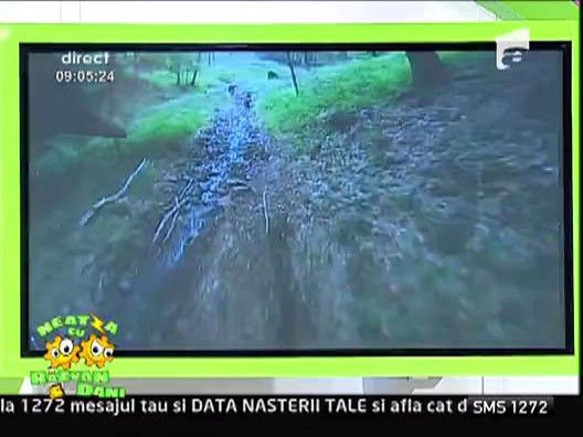 Concurs de enduro in Maramures