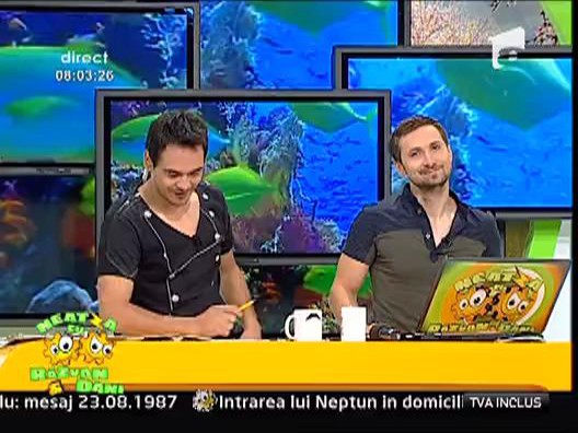 Cum se conserva fructele de sezon