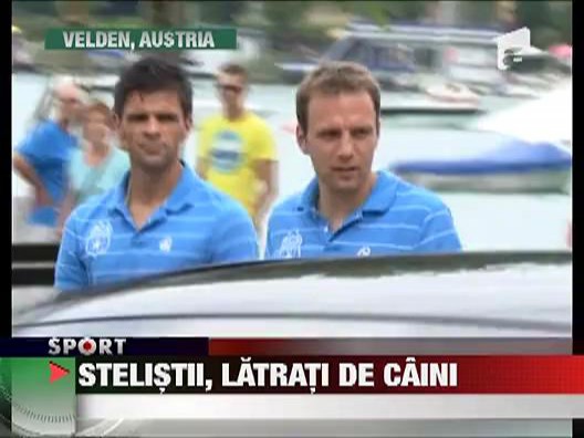 Stelistii, latrati de caini