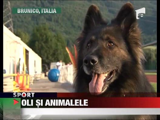 Cosmin Olaroiu adora animalele