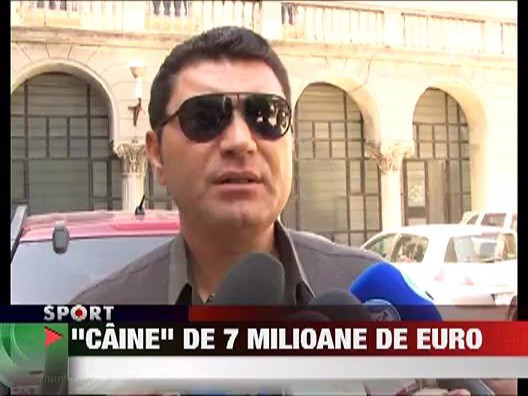 Torje pleaca la Udinese pentru 7 milioane de euro
