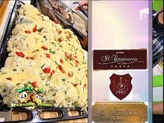 Conopida a la creme