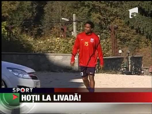 Hotii la livada!