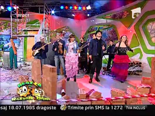 Provincialii - Lei, lei