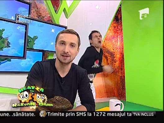 Nu mancati Mosi Craciuni
