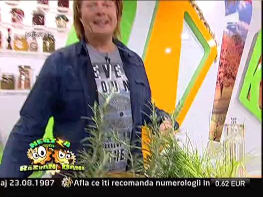 Fasole batuta