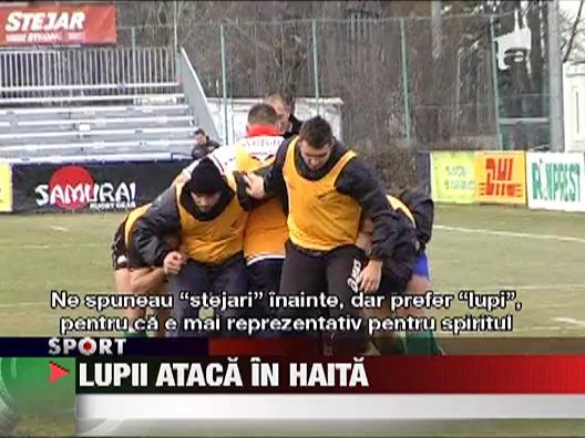 Lupii se mandresc cu noul lor nume