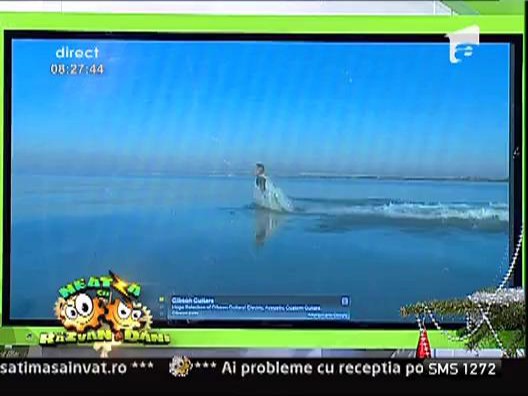 Cea mai neobisnuita "jucarie" de Craciun