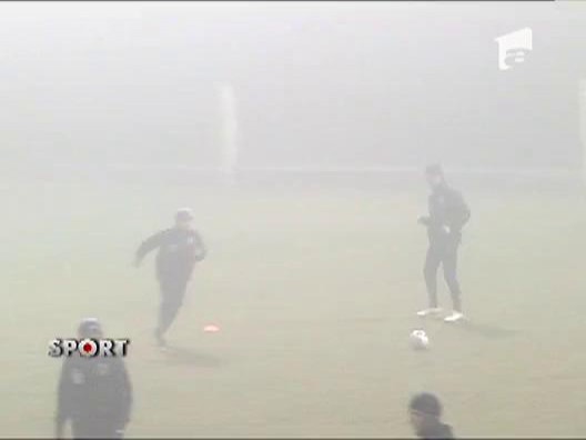 Ceata se lasa in ajutorul Stelei