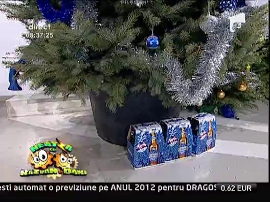 Castiga bradul de Craciun de la Neatza