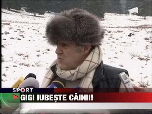 Cainii trag la Gigi Becali